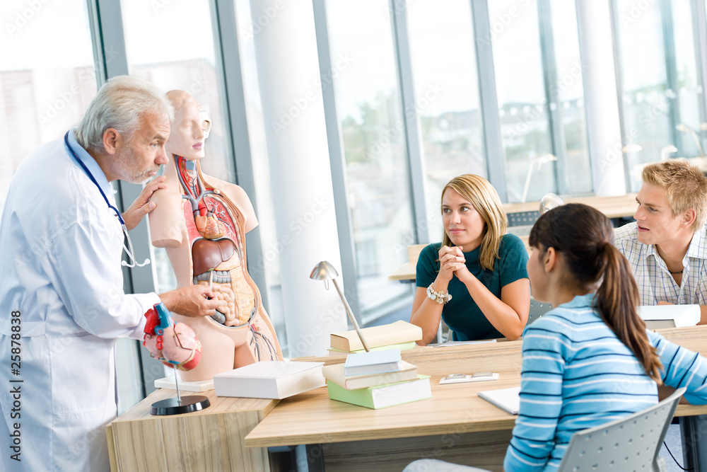 Medical students with professor and human anatomical model