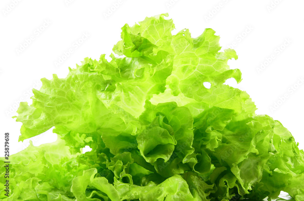 fresh green salad fresh green salad