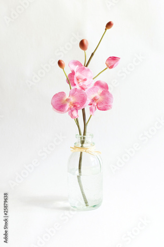 pink orchid in vase