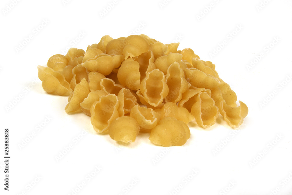 Pasta shells on a white background Pasta shells on a white background