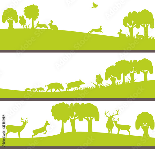 animaux sauvages ou gibier dans la nature # SP6443