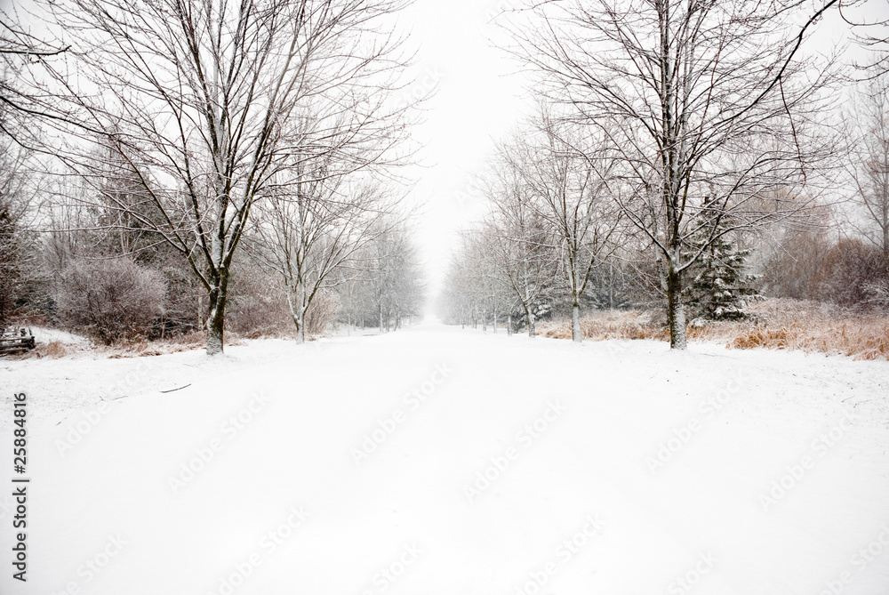 Snow covered country road