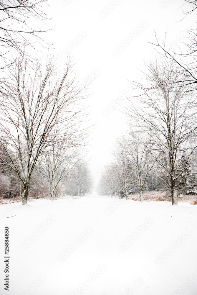 Fototapeta premium Snow covered country road
