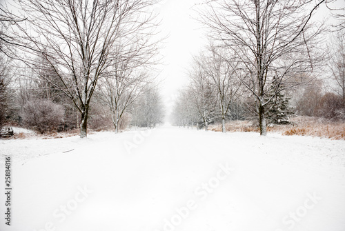 Snow covered country road © Graham Taylor
