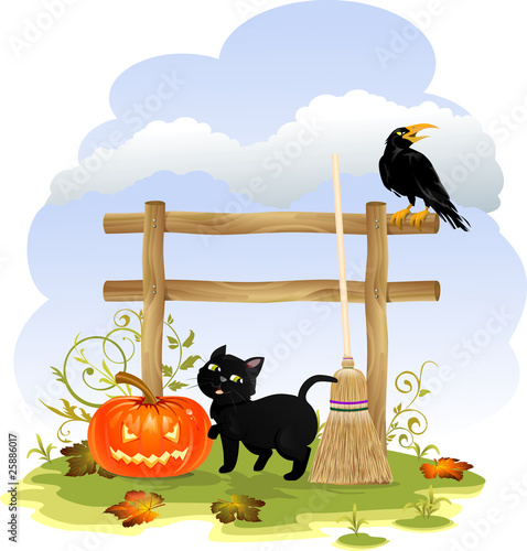 Zucca gatto e corvo