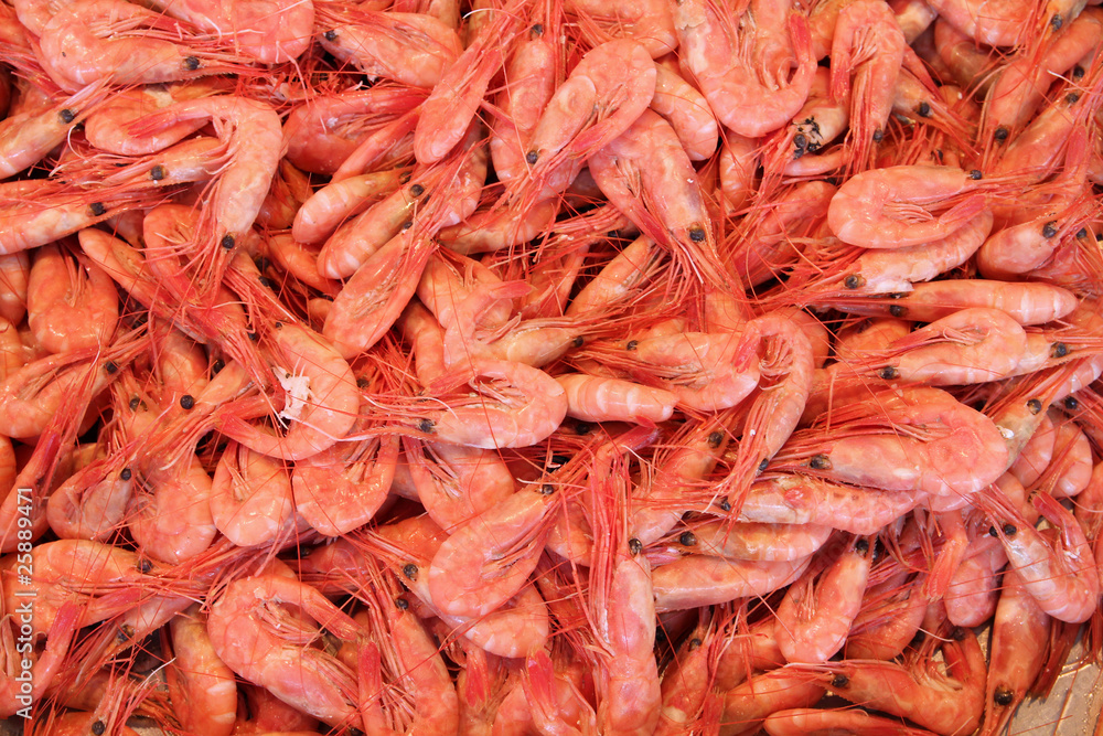 Shrimps at Bergen fish market (fisketorget) in Norwey Shrimps at Bergen fish market (fisketorget) in Norwey