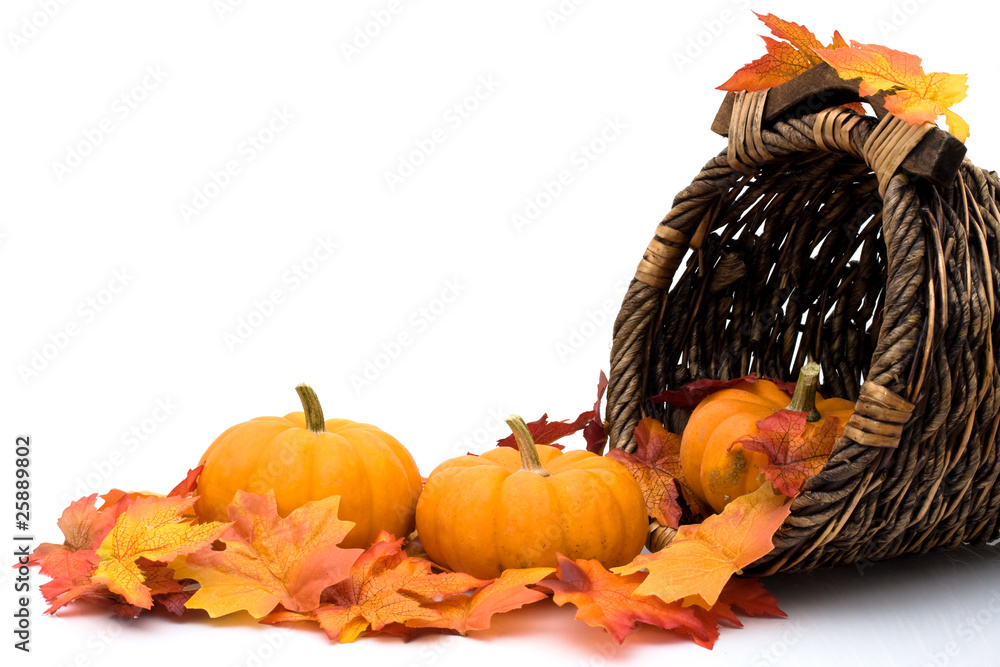 Fototapeta premium Autumn scene