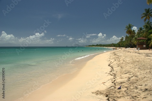 Longue plage en Martinique