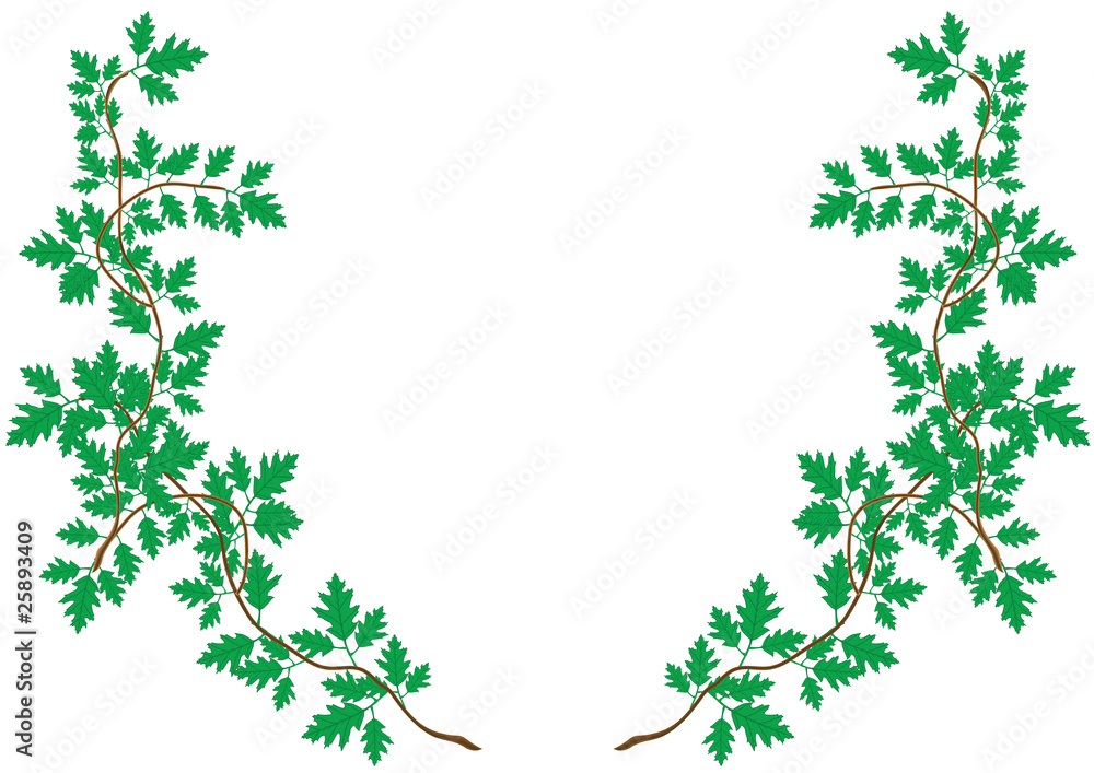 Vector illustration a pattern from green sprouts with leaves. Vector illustration a pattern from green sprouts with leaves.