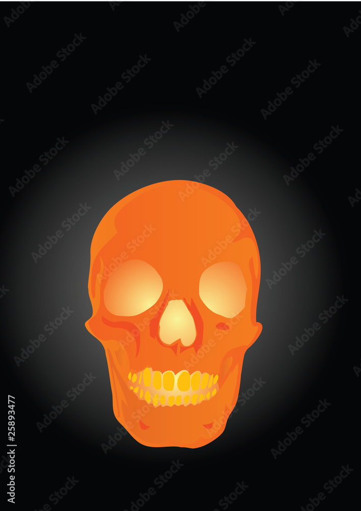Vector illustration a human skull by a holiday helloween