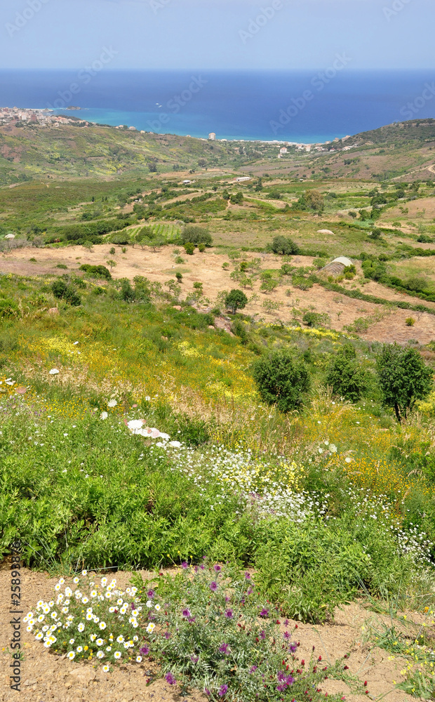Fototapeta premium littoral algerien...kabylie