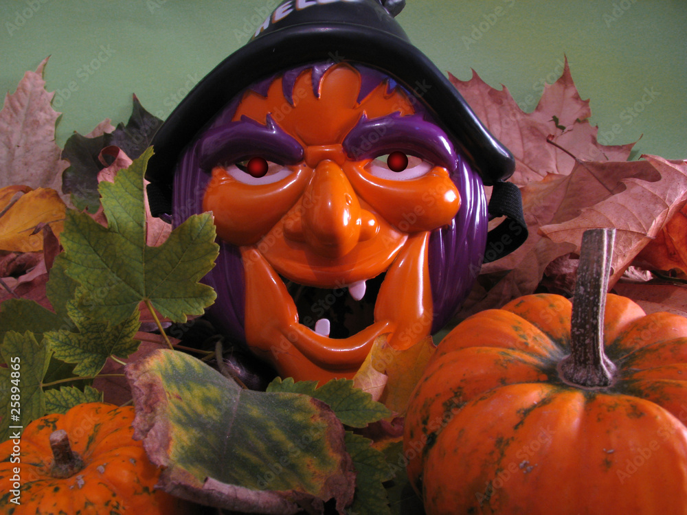 Naklejka premium Halloween witch and pumpkins-Halloween concept