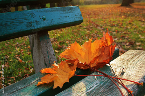 jesienna ławeczka