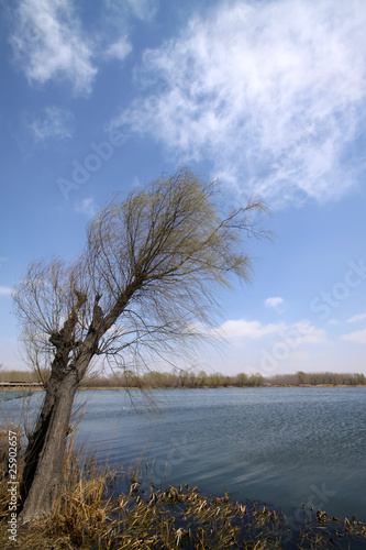 river scenery