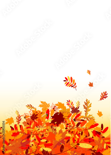 Autumn leaves background for your design