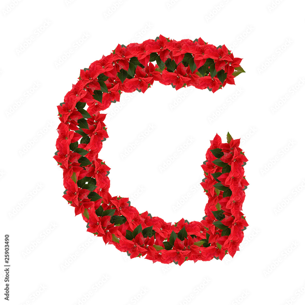 Letter from the red flowers Letter from the red flowers