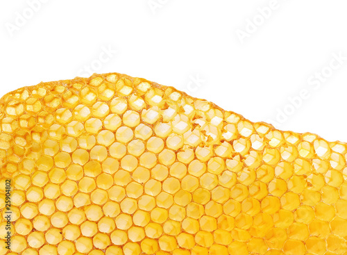 bee honeycomb © Repina Valeriya