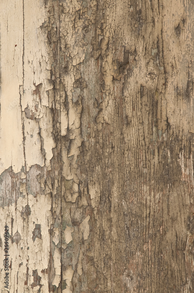 legno antico legno antico