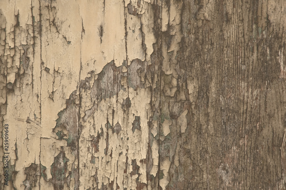 Fototapeta premium legno antico