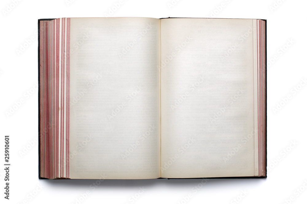 Blank open hardback book