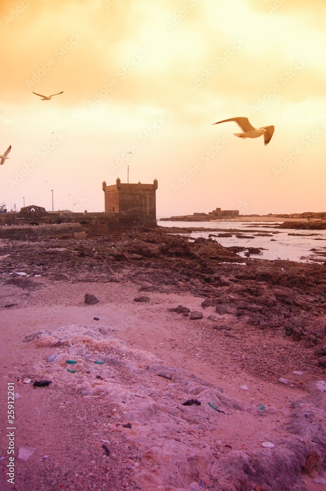 Maroc, ESSAOUIRA Maroc, ESSAOUIRA