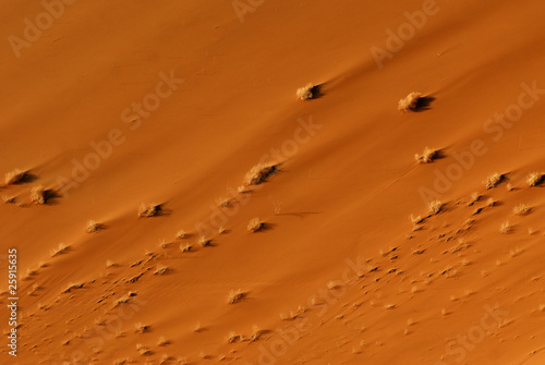 Sossusvlei Sand