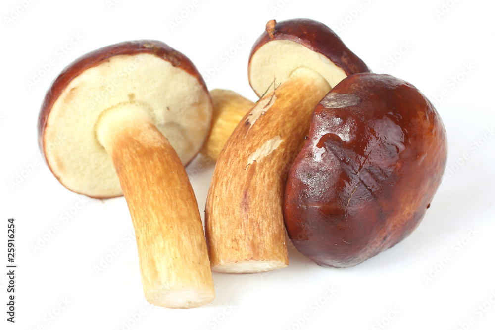 Three raw mushrooms