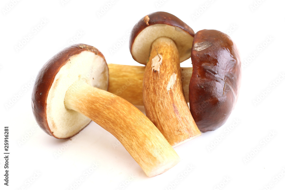 Three raw mushrooms