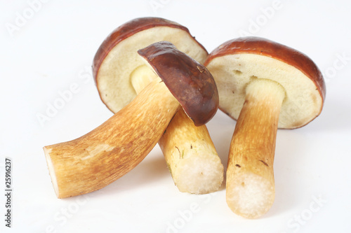 Three raw mushrooms