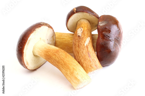 Three raw mushrooms
