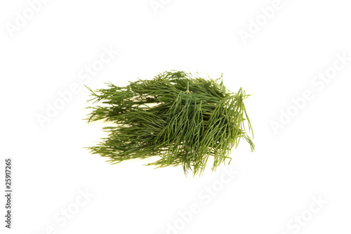 Dill