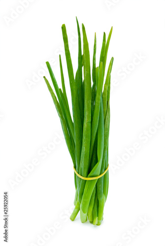 Bunch of green onion isolated on the white background