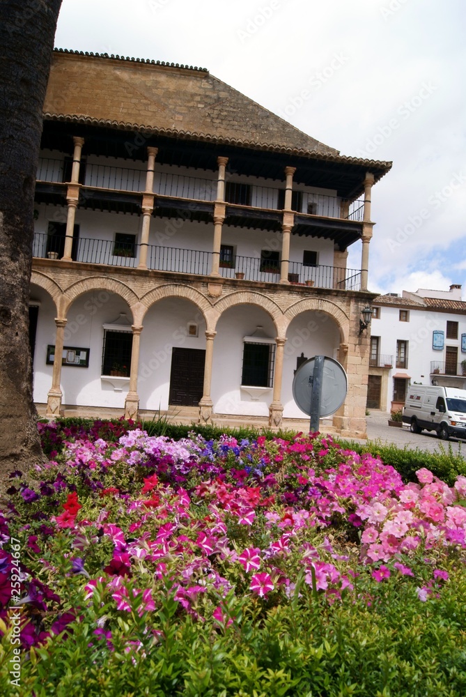 Obraz premium Fiori a Ronda