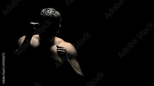 Boxer Spars in Shadows photo