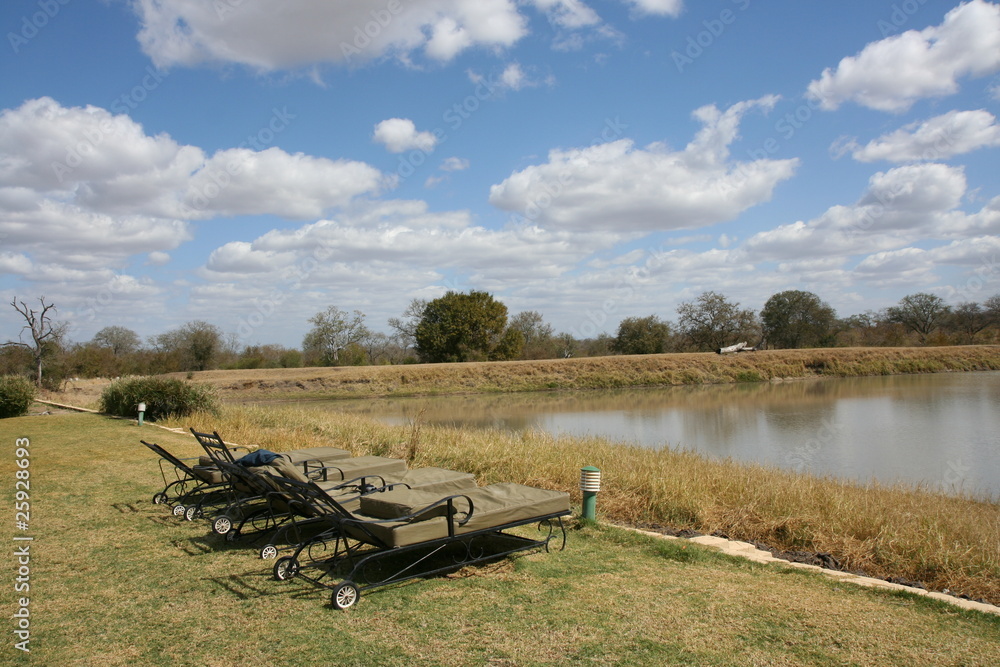 Obraz premium Private reserve - South Africa safari