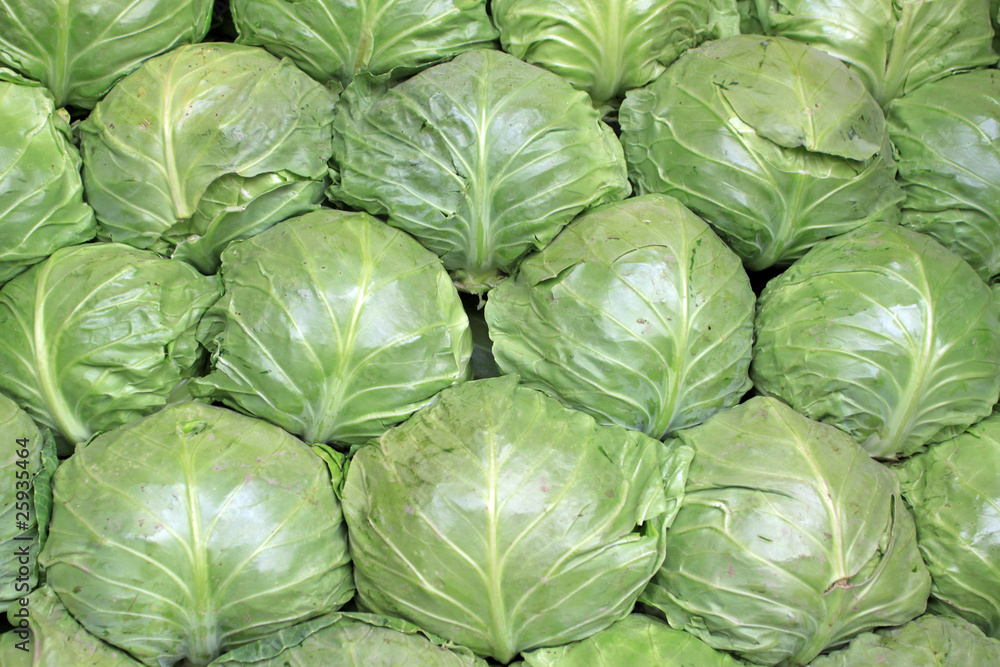 kohlrabi kohlrabi
