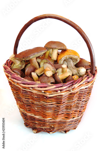 mushrooms in basket on white backgrounds
