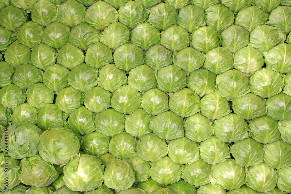 kohlrabi kohlrabi