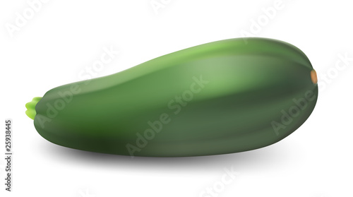 Zucchini isolated on white background. Vector illustration.