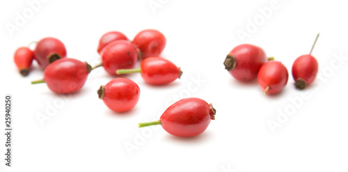 rosehips isolated on white; photo