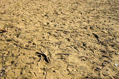 Natur Sandboden