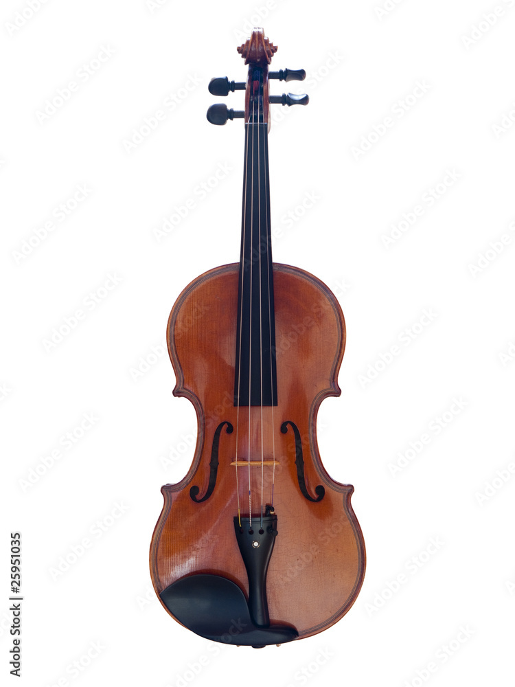 Obraz premium Violine