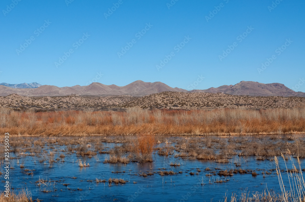 Marsh and mountains