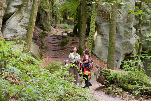 Wandern - Luxemburg - Müllerthal Trail