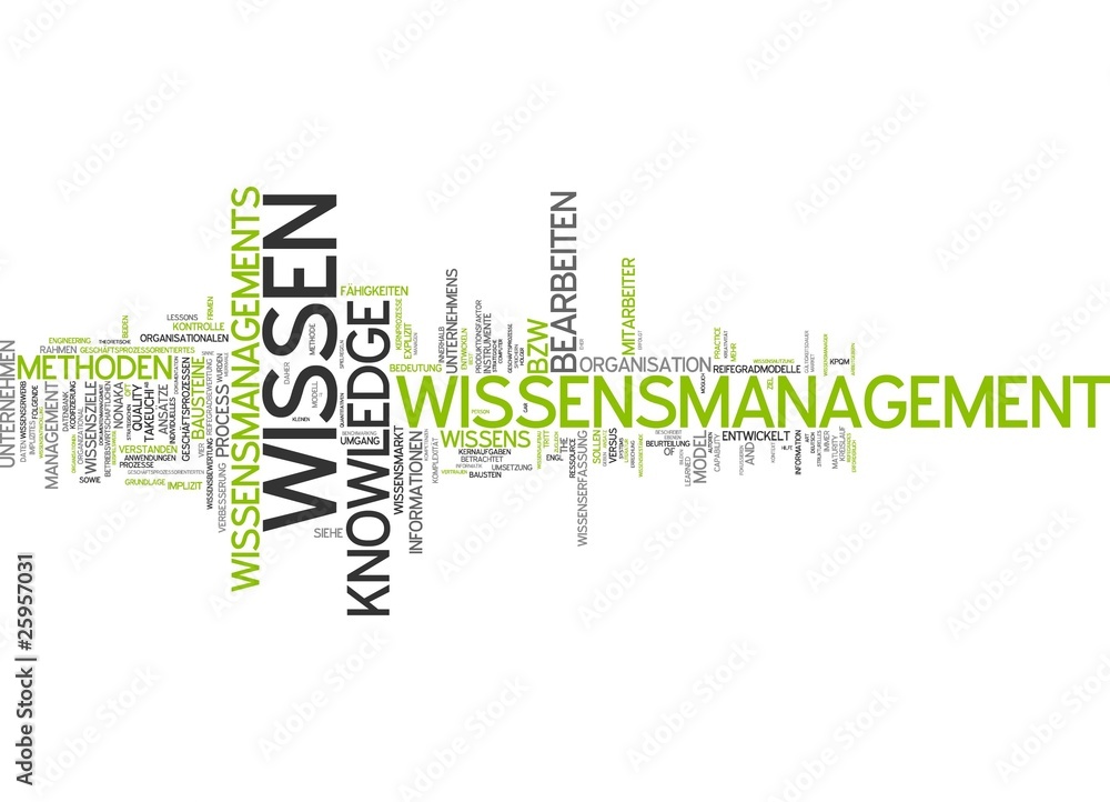 Wissensmanagement / Knowledge Management