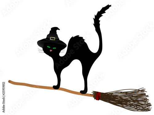 Cat on the broom