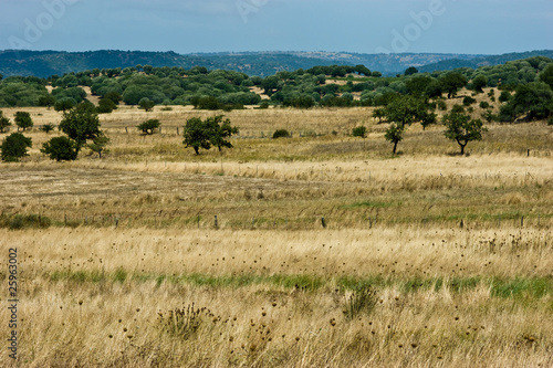 Sardegna selvaggia