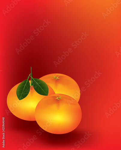 Mandarine orange on red background