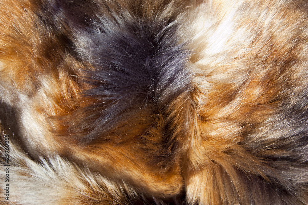 Fur texture Fur texture