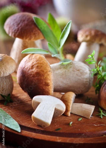 Obraz na płótnie frische steinpilze 2